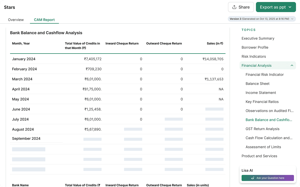 Credit Assessment Memo Preview