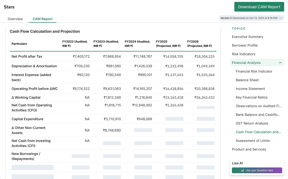 Credit Assessment Memo Preview