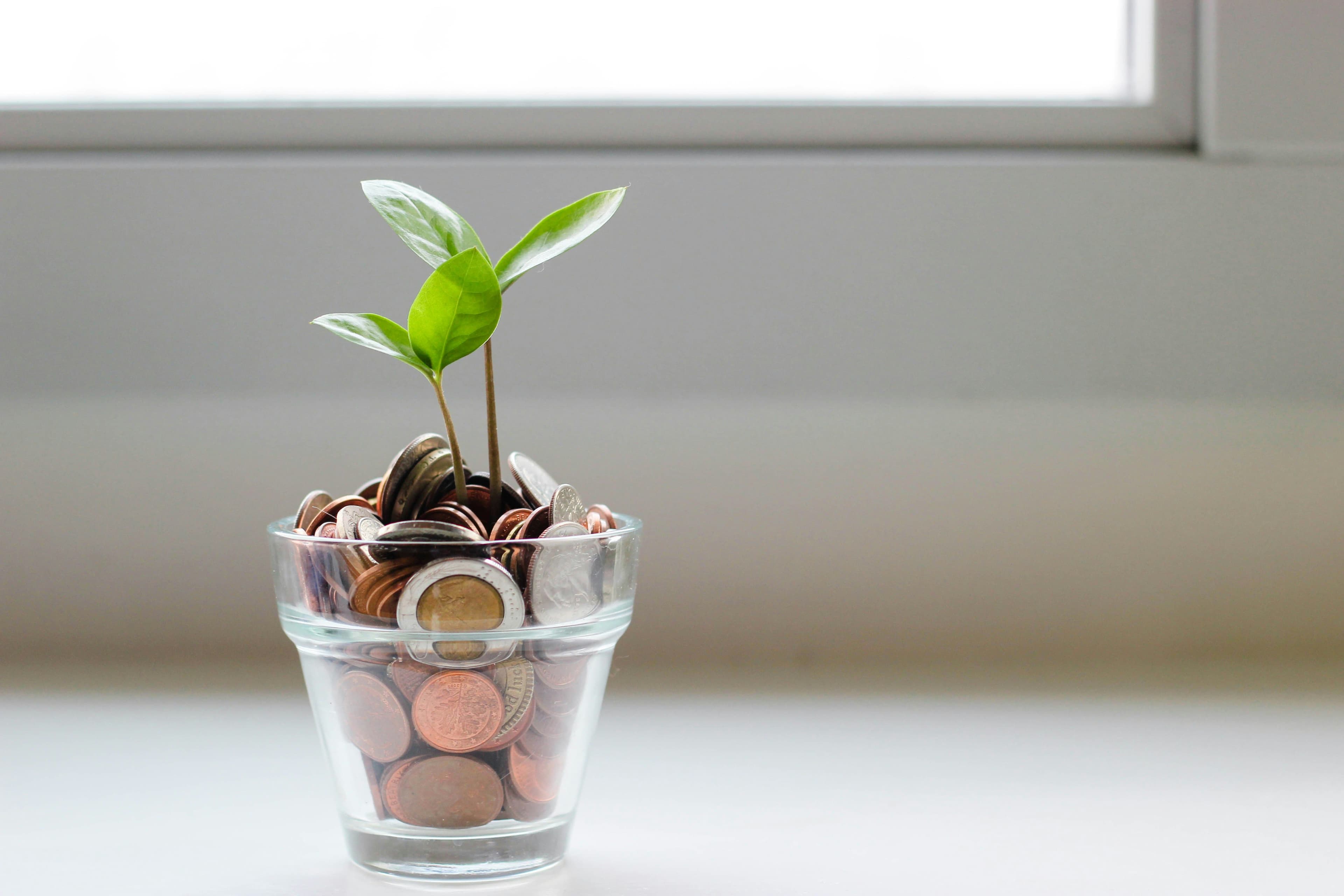 Pricing Review for a Premium Fund Services Provider
