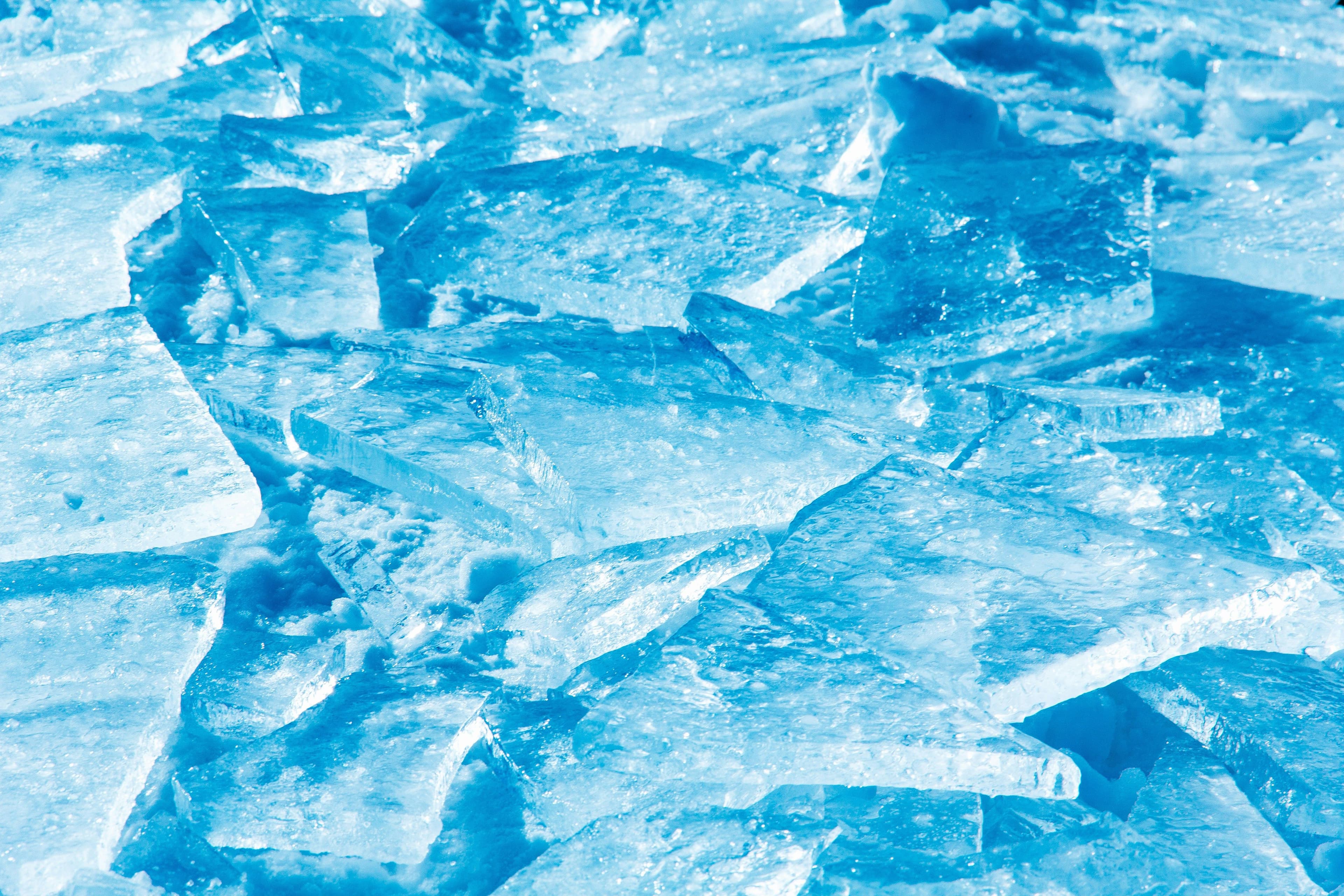 Market Assessment of Premium Frozen Dessert in the USA