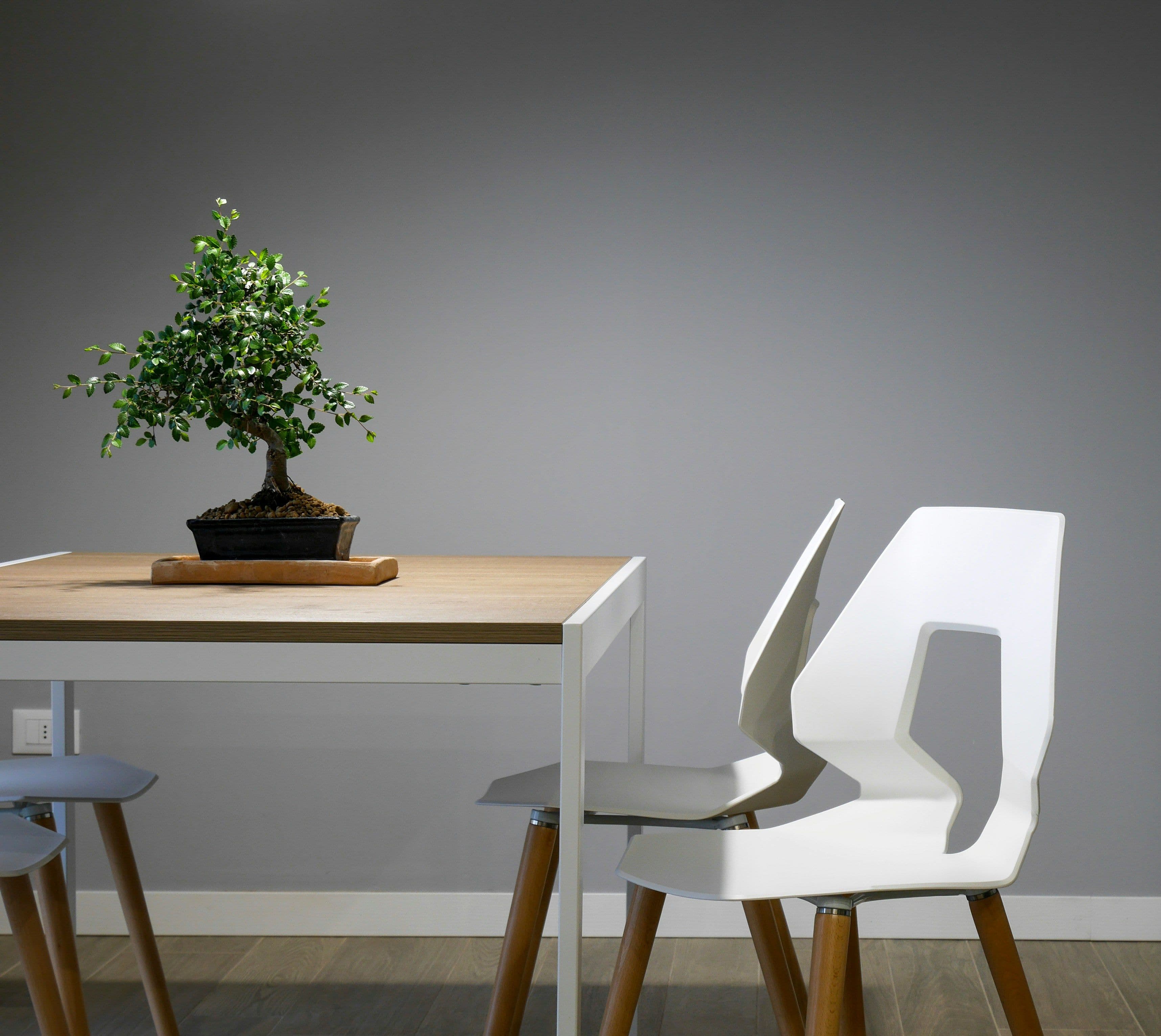 Growth Strategy for a PE backed Healthcare and Senior Living Furniture Manufacturer